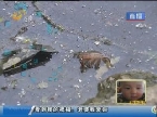 德州：一塘死水 水面下频现杀机