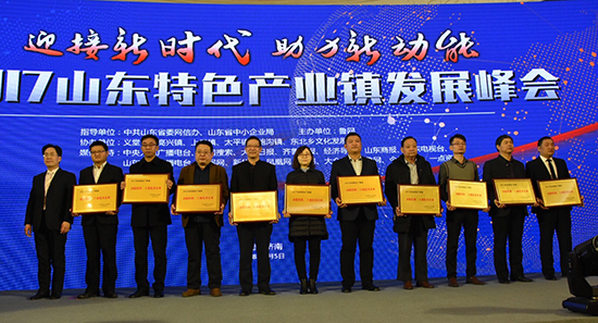 2017山东特色产业镇发展峰会在济南举行