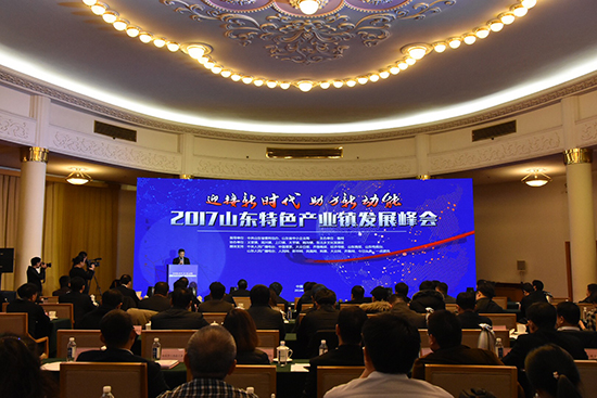 2017山东特色产业镇发展峰会在济南举行