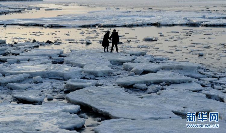 海冰涌上岸边 渤海现极地冰原景观
