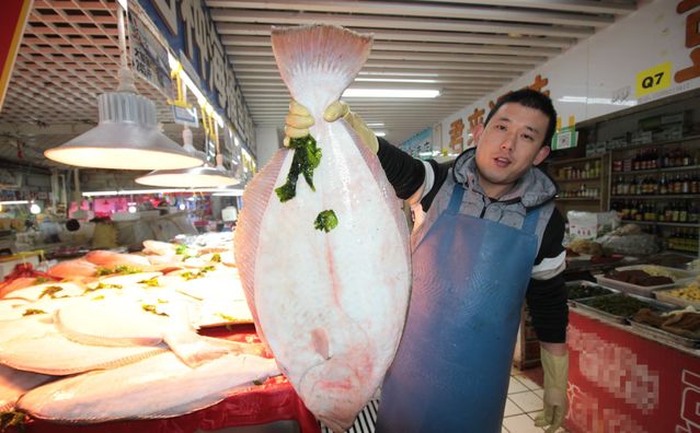 青岛鸦片鱼集中上市 每只20斤 个头比孩子都大