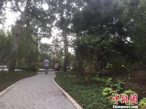北京核心区今年将新建两个城市森林公园