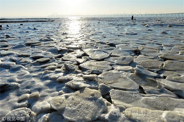山东青岛：冷空气来袭 胶州湾现10厘米厚海冰