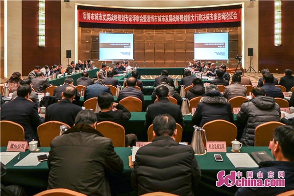 淄博市城市发展战略规划通过专家评审