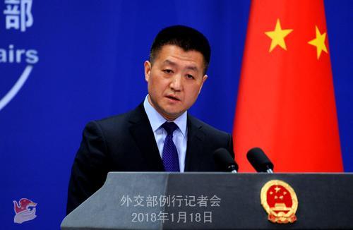 陆慷谈中国“象牙禁令”：中国人一向重信守诺