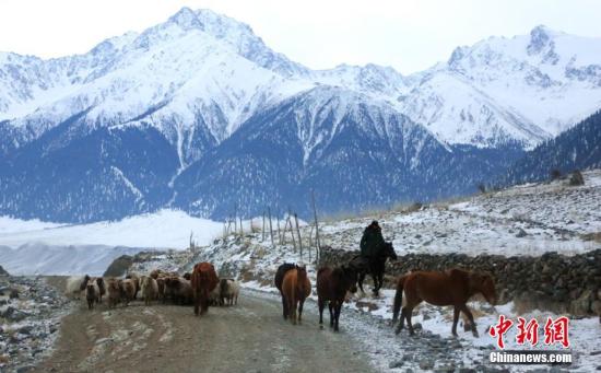 2017年新疆气温偏高降水偏多 农牧业年景为平偏丰