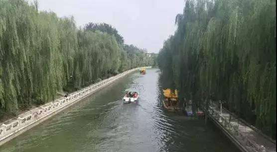 聊城城区规划9条水上客运航道，市民有望乘坐“水上公交”上班