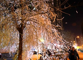 济南一消防栓爆裂 喷出雪白冰树引市民拍照