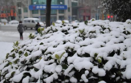 真够冷！淄博今天最低-13℃ 市民出行注意保暖