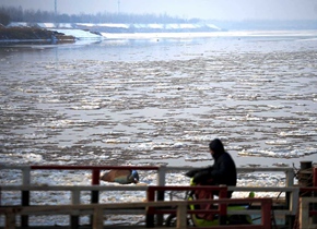 强寒潮天气影响 黄河冰凌“二进”济南