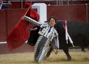 哥伦比亚举行斗牛赛 斗牛士跪地“决战”黑牛