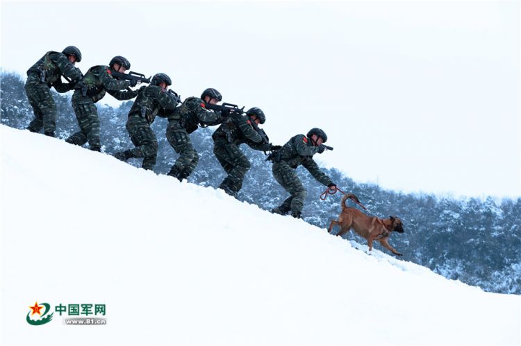 武警浙江总队机动支队开展雨雪天候山林地捕歼战斗训练