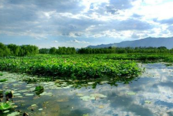 保护湿地资源 淄博已有7处省级以上湿地公园