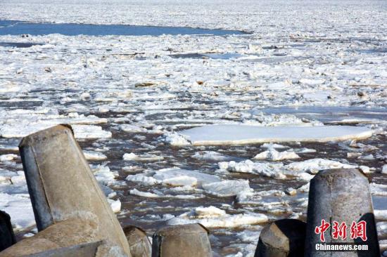 山东黄河口海冰封港 浮冰外缘线超过10海里