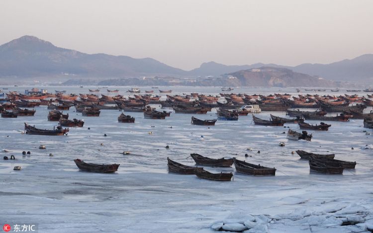 黄渤海进入严重冰期 辽东湾海冰近60海里