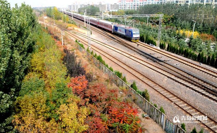 2020年青岛铁路沿线将变成三位一体风景线