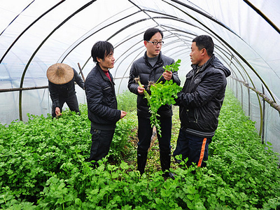 聊城：2018年全市农业科技人员下乡服务活动全面启动