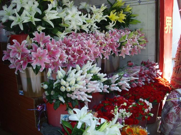 情人节撞上春节 青岛鲜花市场有价无市(图)