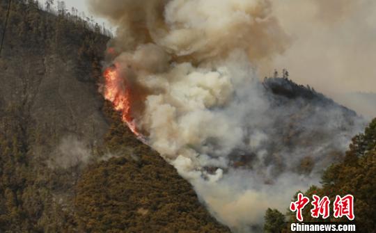 四川雅江“2.16”森林火灾系人为失火 扑救还在进行
