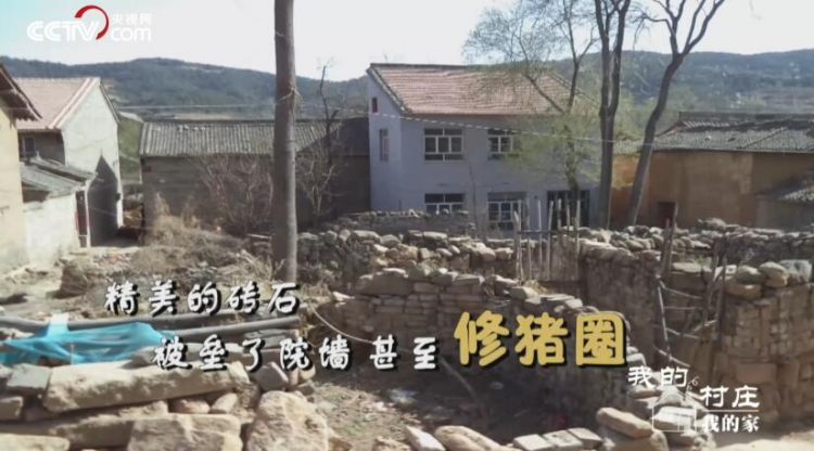 【中国微故事春节策划·希望的田野】太行山有个“活化石”村