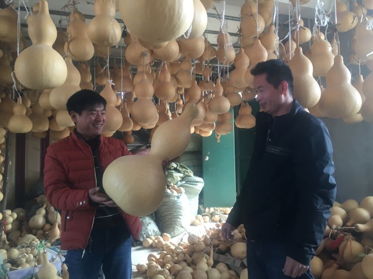 聊城小村卖葫芦一年卖六个亿，大年三十还在忙发货