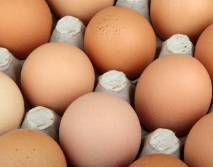 淄博鸡蛋价格重回“4元时代” 每斤降了八毛钱