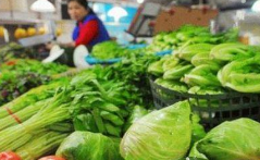 春节后淄博菜价持续走低 黄瓜跌了超三成