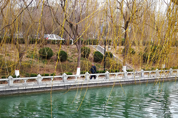 聊城：古运河畔春来早