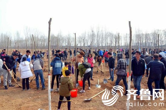 第十二届济南外企植树活动在济阳举办