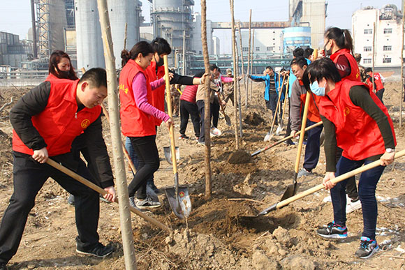 植树节丨德州军民共育双拥林