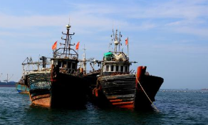 4月到6月 黄河山东段禁渔期严打违法捕捞行为
