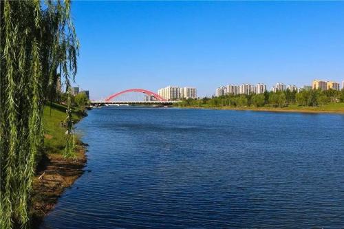 聊城大力保护“两河”生态环境 打造水绿一体景观河流