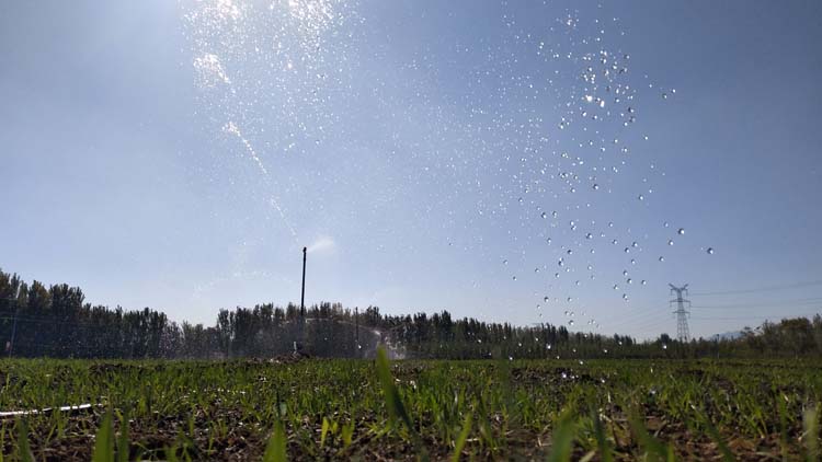 邹平县高新街道11000亩土地实现高效节水灌溉