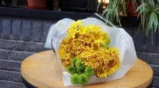 清明节期间张店区烈士陵园免费提供鲜花服务
