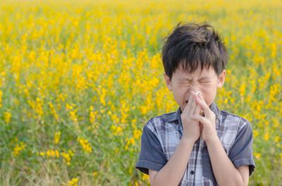聊城疾控专家提醒：春季外出严防花粉过敏侵袭