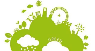 水城迸发磅礴“绿能量”—聊城市绿色发展成效显著