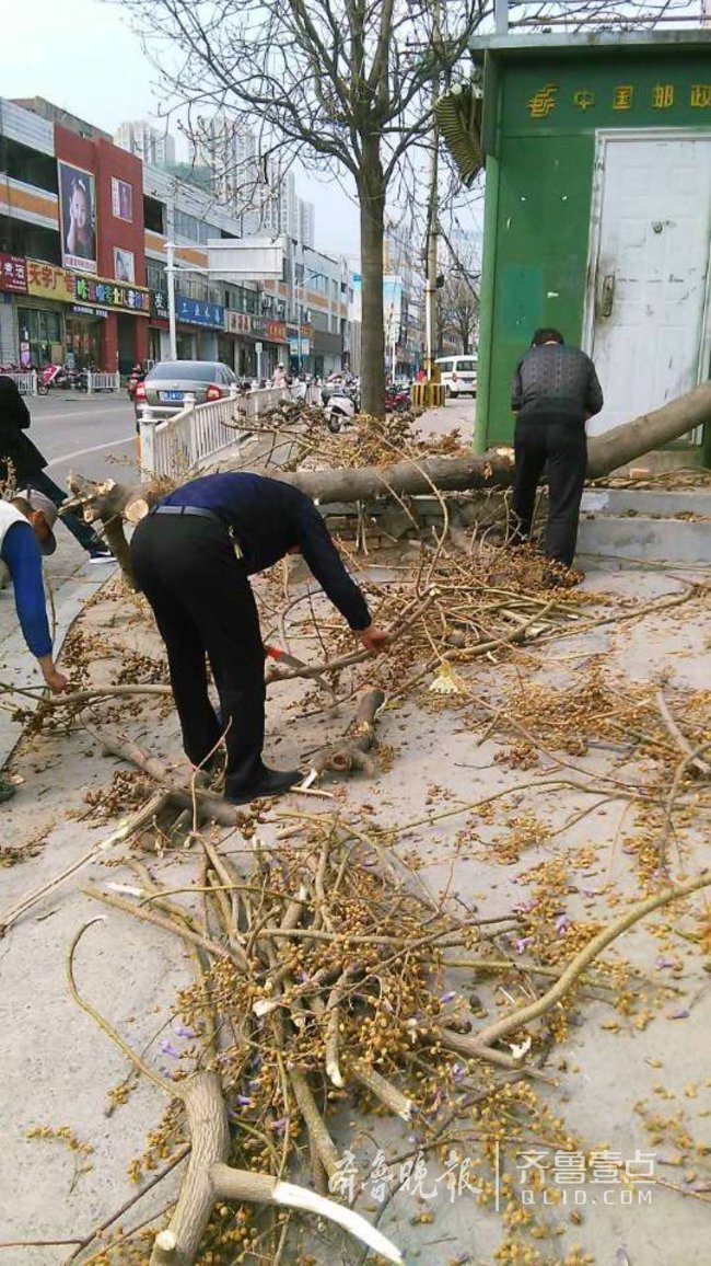 杀树也要拆违建，泰安东更道社区拆除一废弃报亭