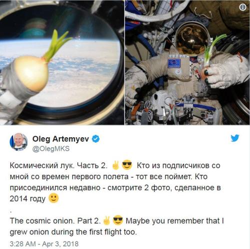 有新鲜菜吃了！俄罗斯宇航员往国际空间站带洋葱