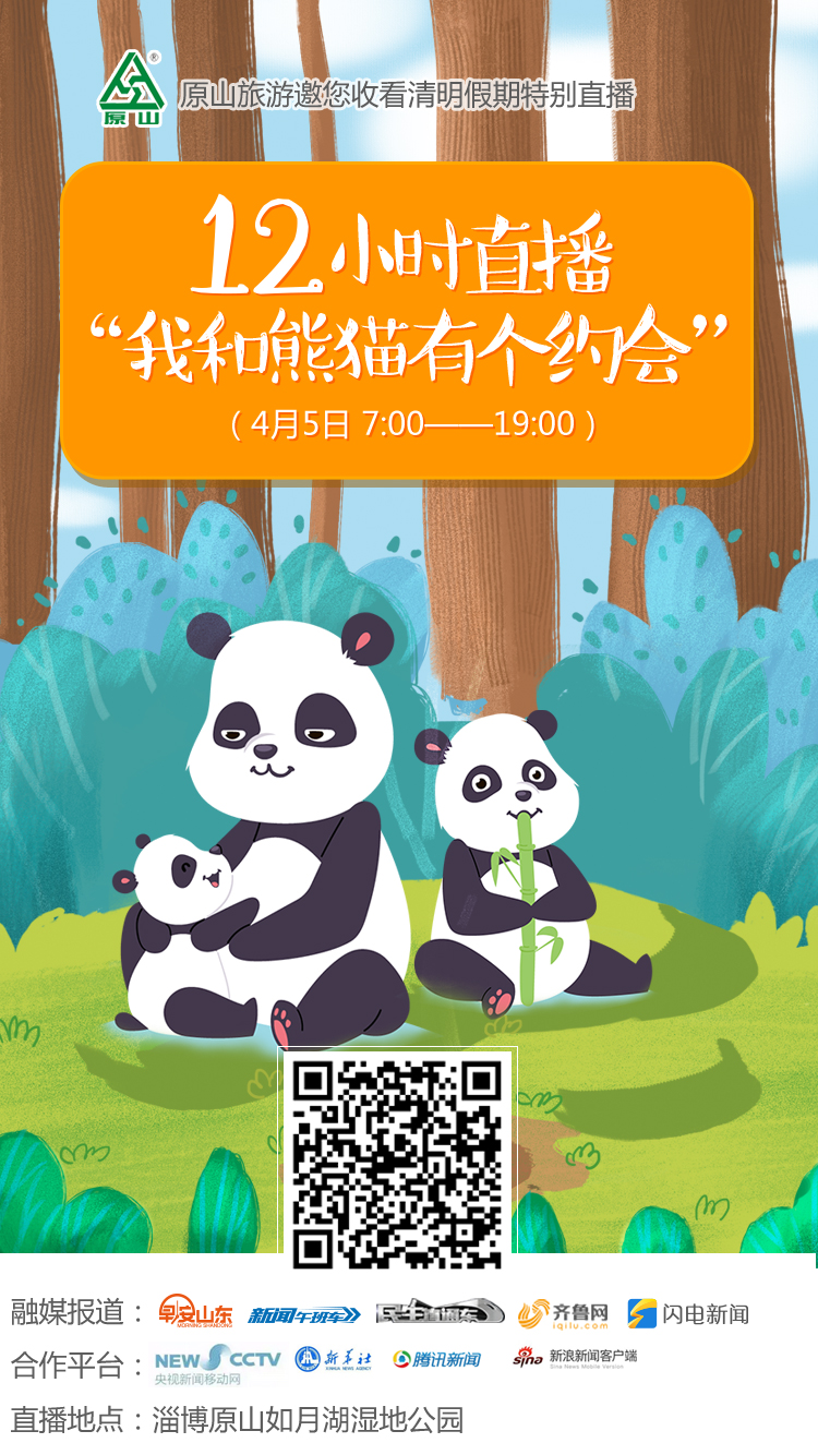 改熊猫4.jpg