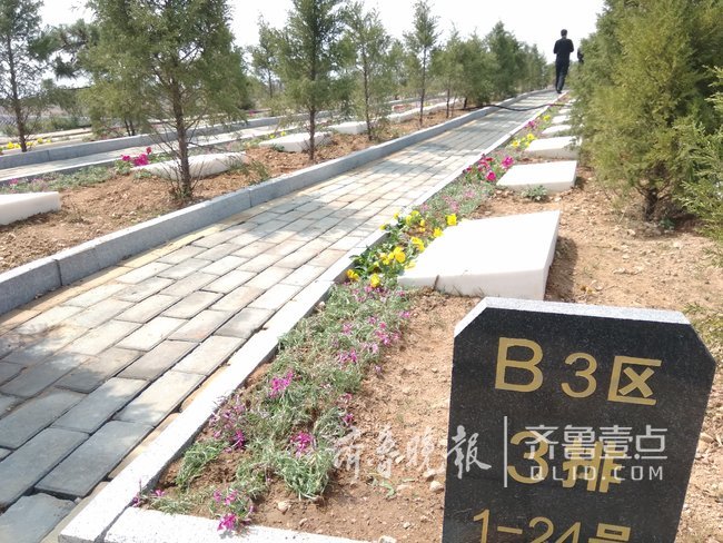 沂水殡改近一年,建成110处公益墓地，村镇村落全覆盖
