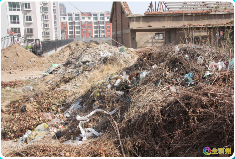 滨州一空地变垃圾场 相关部门:已安排人员进行清理