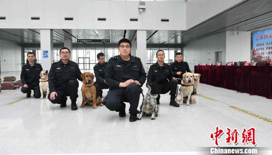 山东：检疫犬化身形象大使宣传维护国门生物安全知识