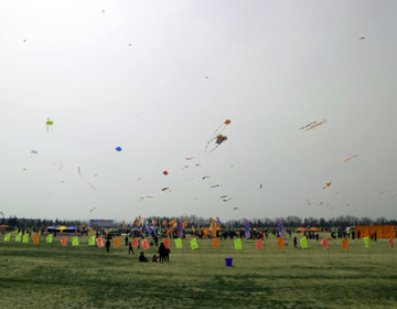 第35届潍坊国际风筝会潍坊风筝大赛在浮烟山举办