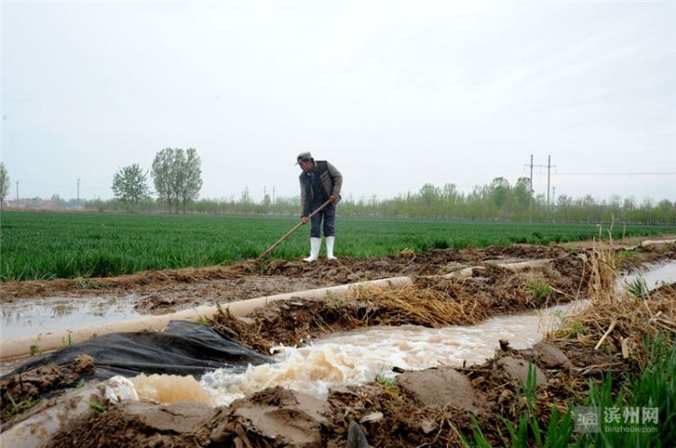 滨州：引黄抗旱保春灌 已引蓄黄河水3.3亿立方