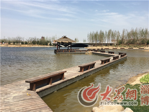 2个月后淄博潴龙河湿地公园将与市民见面