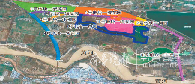 济南黄河北9000亩花海加速建设，22天栽植1750亩樱桃