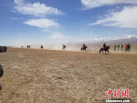 甘肃肃北“雪域骑手”扬鞭策马展示草原马文化