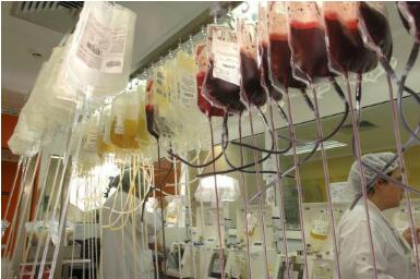 为研究人造血管 日本一大学教授多次违规采集学生血液