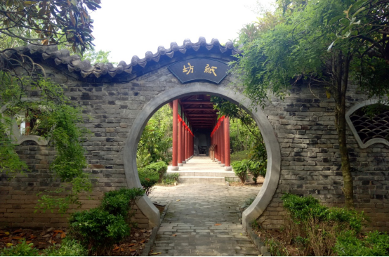 探秘千年造纸术:差异时空,同样义务1248
