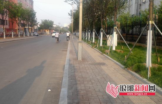 临沂最美街道河东赵庄：村道改造升级 环境更美丽